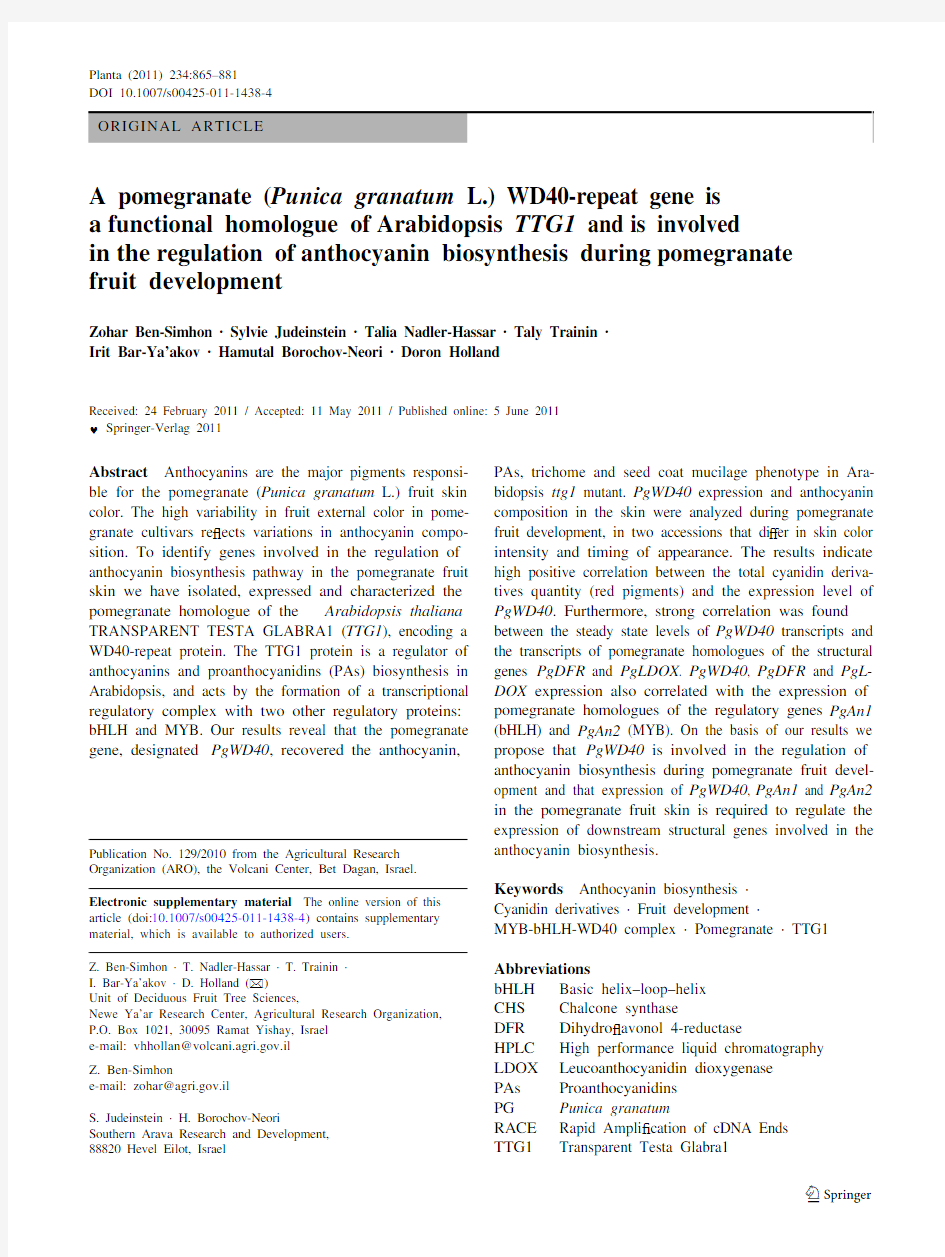 A pomegranate (Punica granatum L.) WD40-repeat gene is a