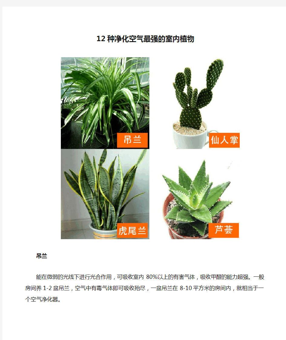 12种净化空气最强的室内植物