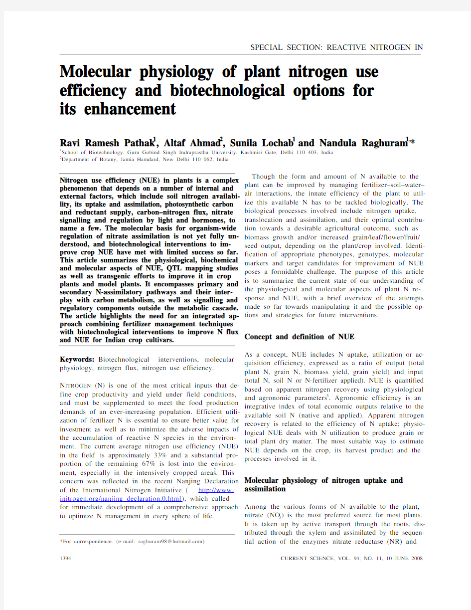 Molecular physiology of plant nitrogen use efficiency and