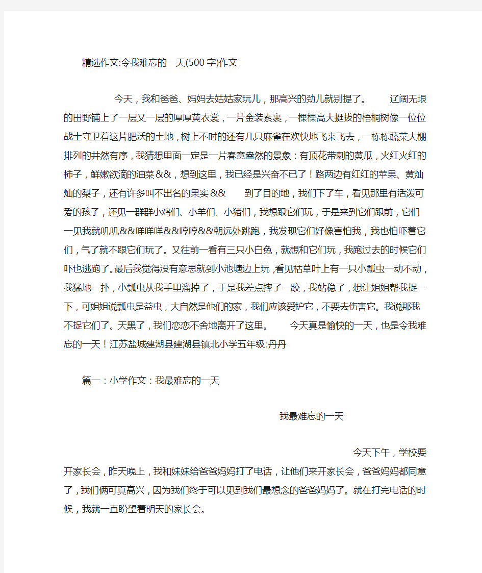 令我难忘的一天(500字)作文