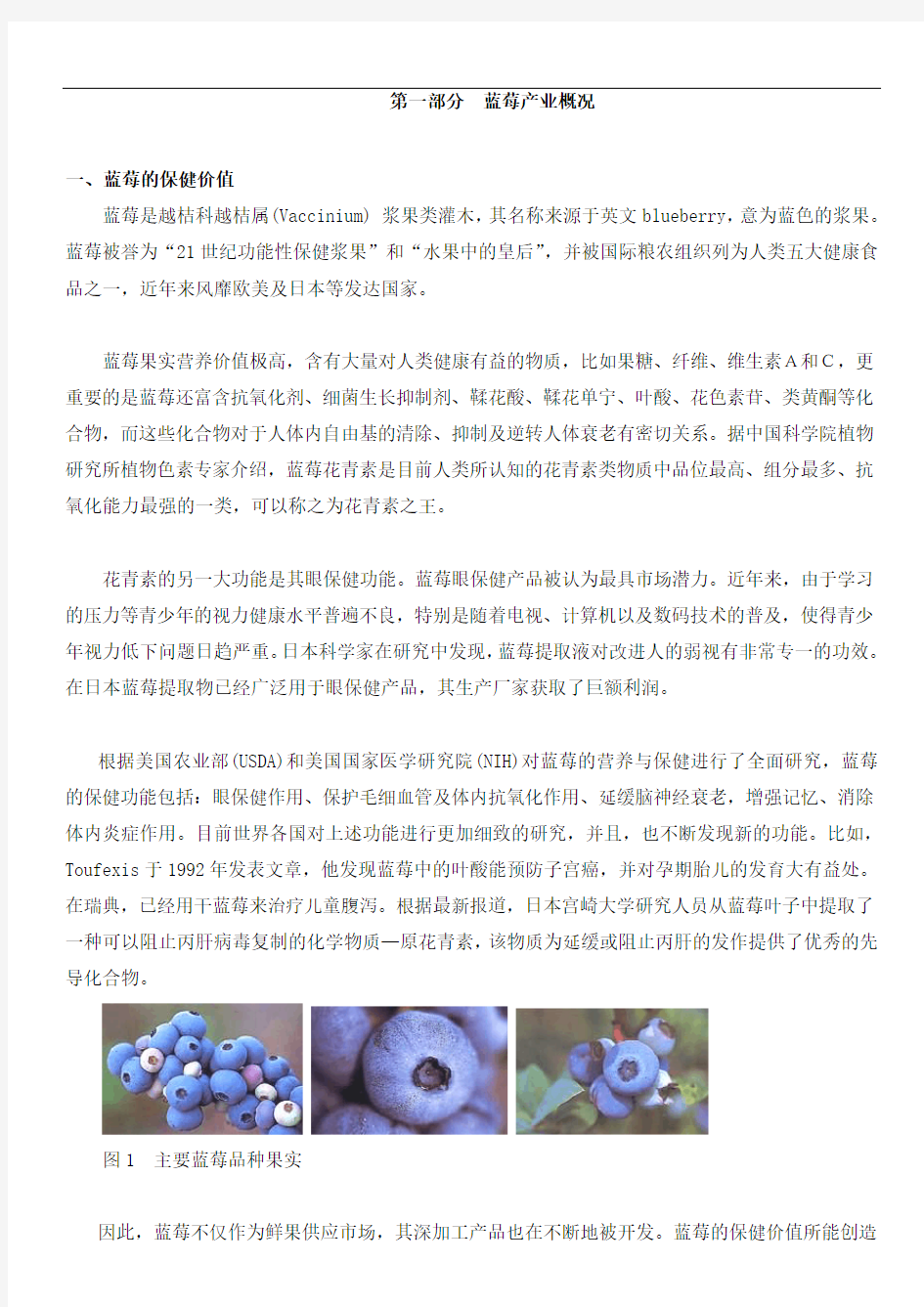 蓝莓种植园项目投资可研报告