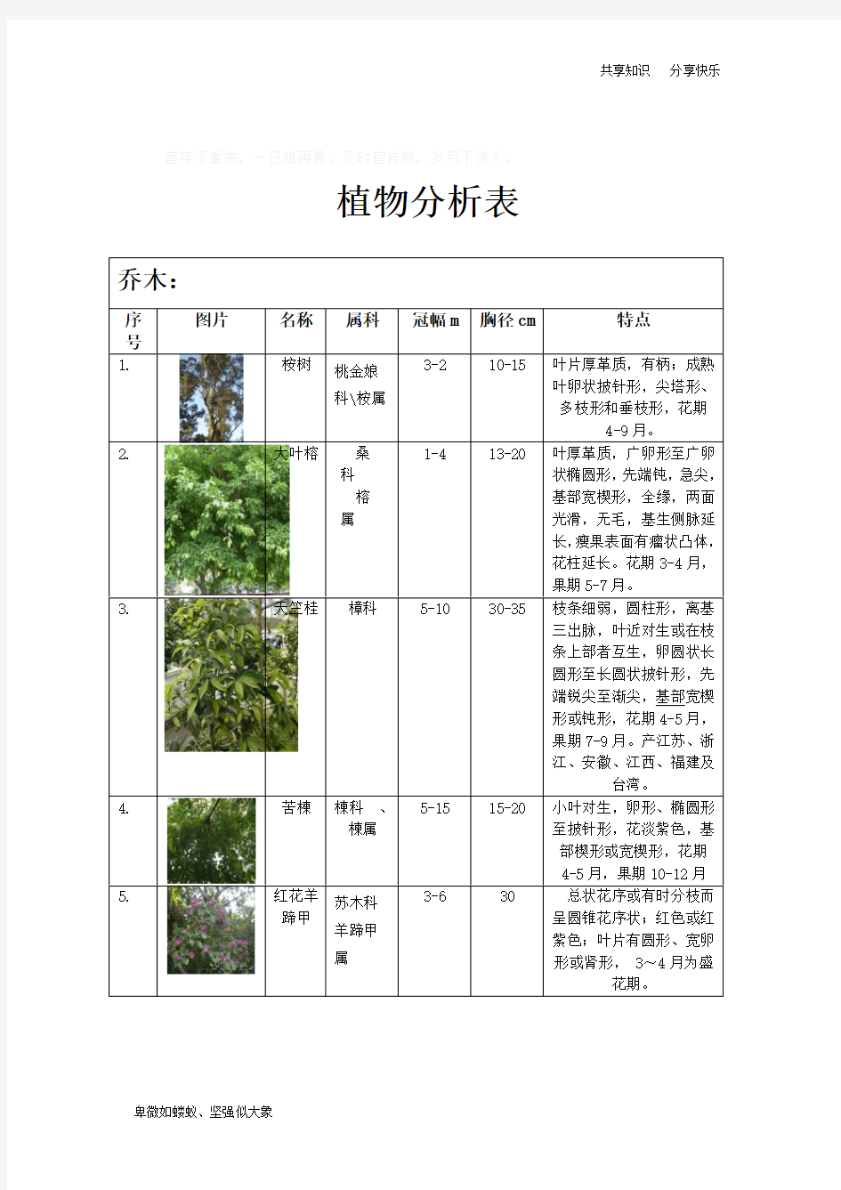 植物配置表