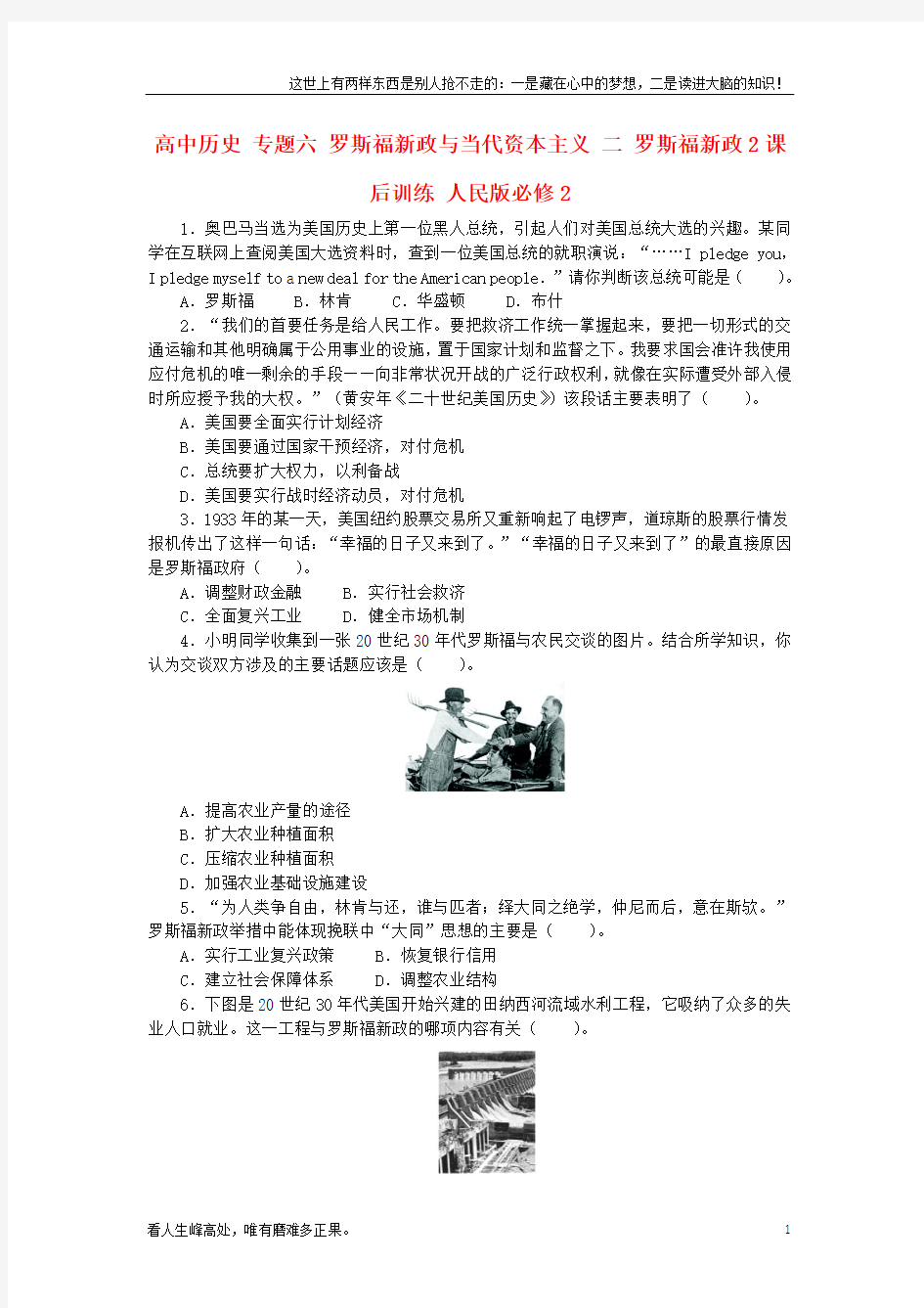 (新)高中历史专题六罗斯福新政与当代资本主义二罗斯福新政2课后训练人民版必修2