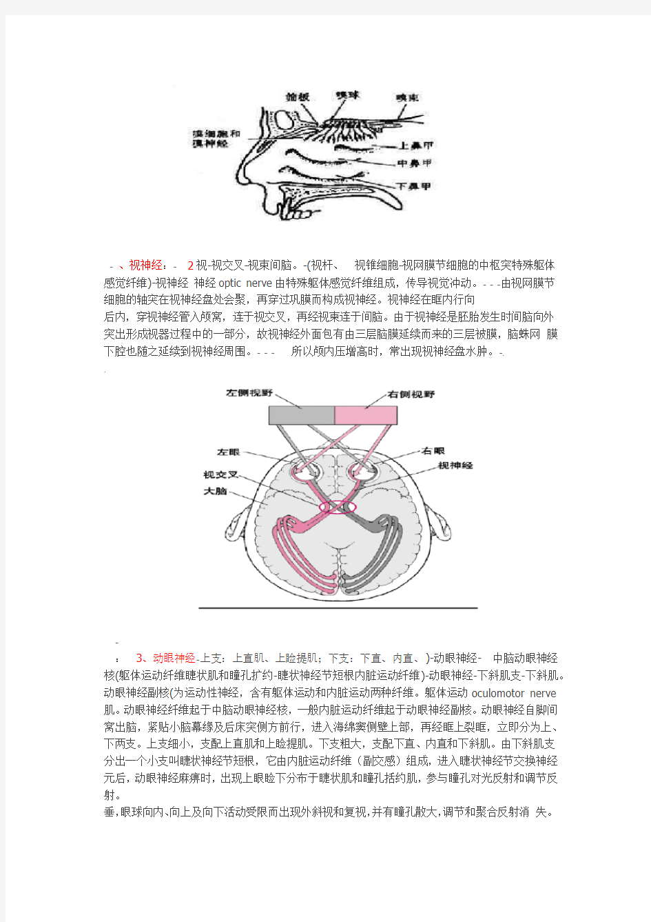 十二对脑神经附图