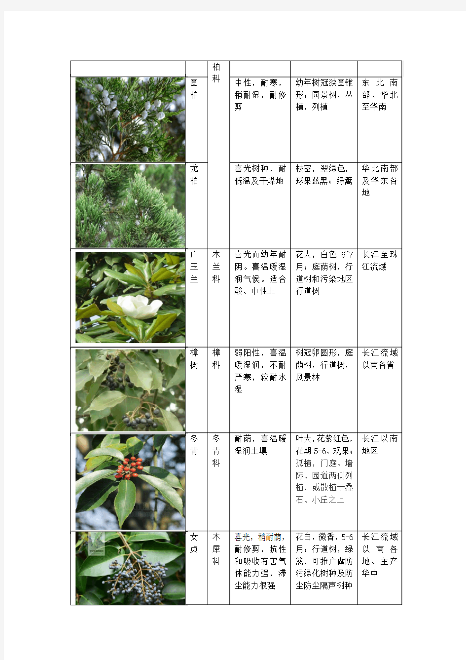 常用园林植物分类