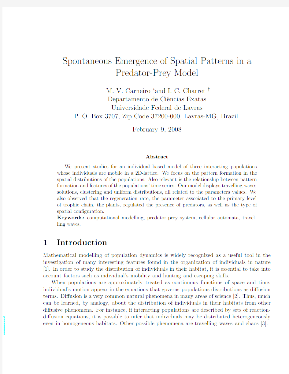 Spontaneous emergence of spatial patterns ina a predator-prey model