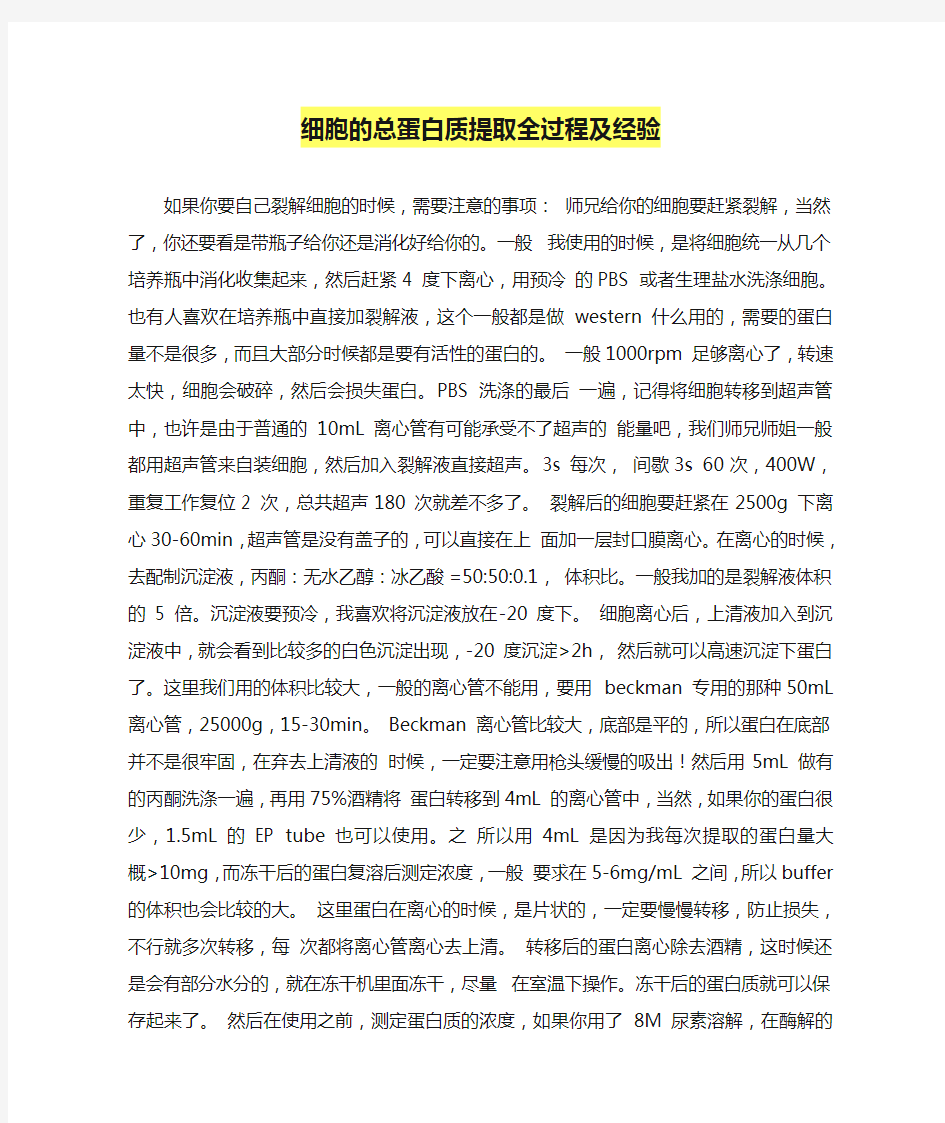 细胞的总蛋白质提取全过程及经验