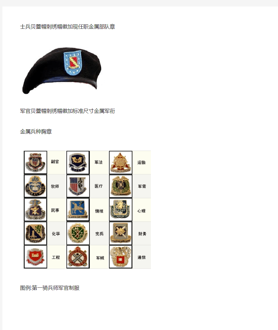 美军陆军主要现役部队徽章及佩戴标准