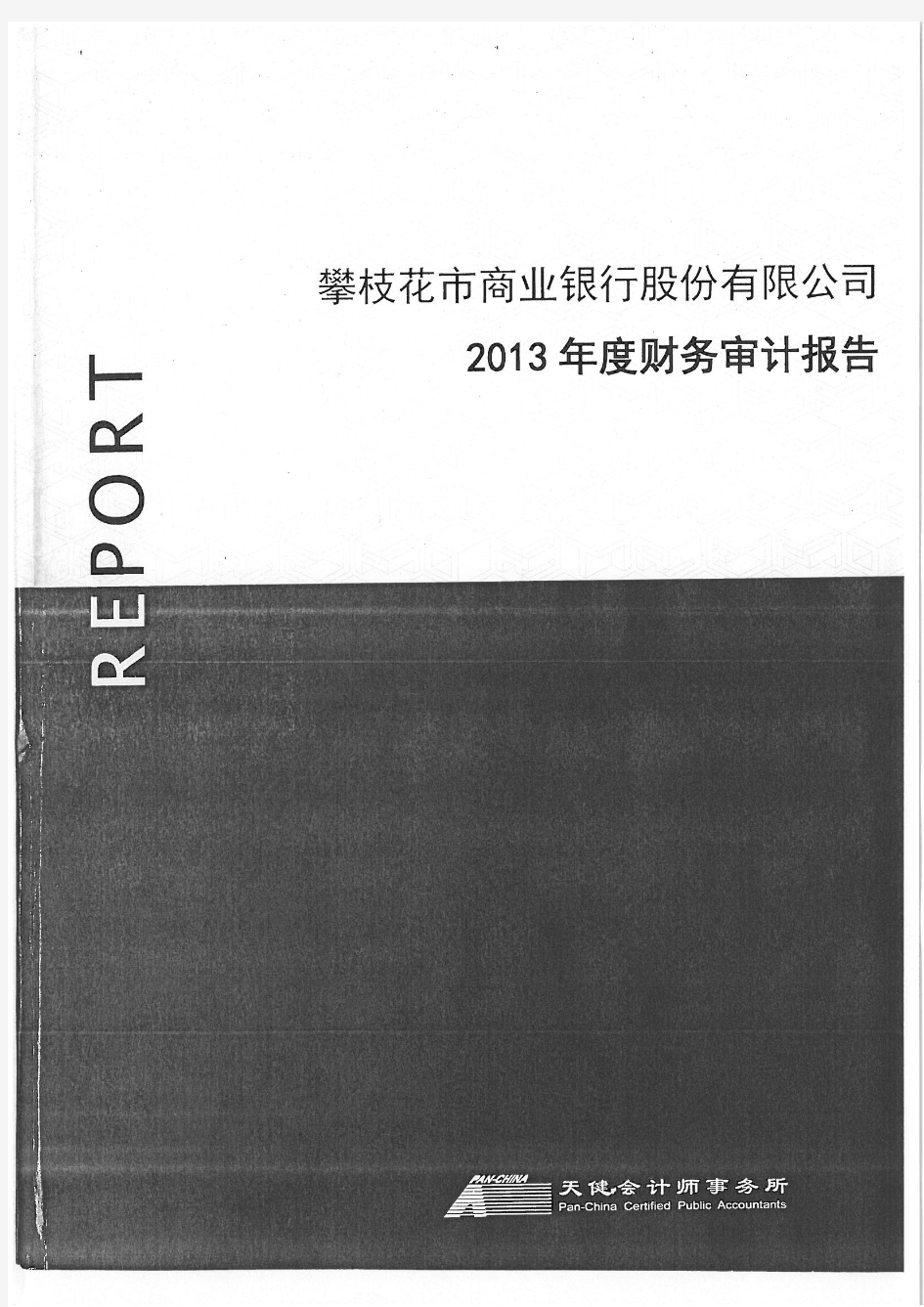 攀枝花市商业银行股份有限公司2013年度财务报表的审计报告(更新)
