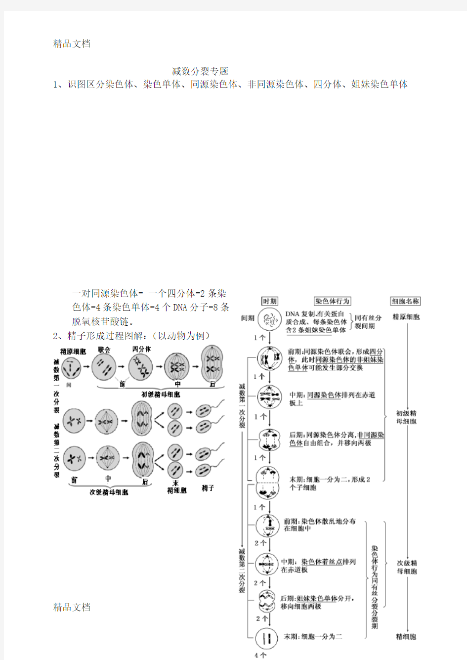 减数分裂专题教学内容