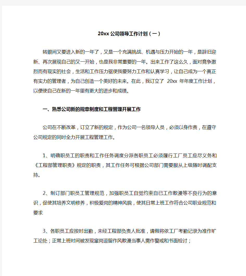 2020公司领导工作计划(一)