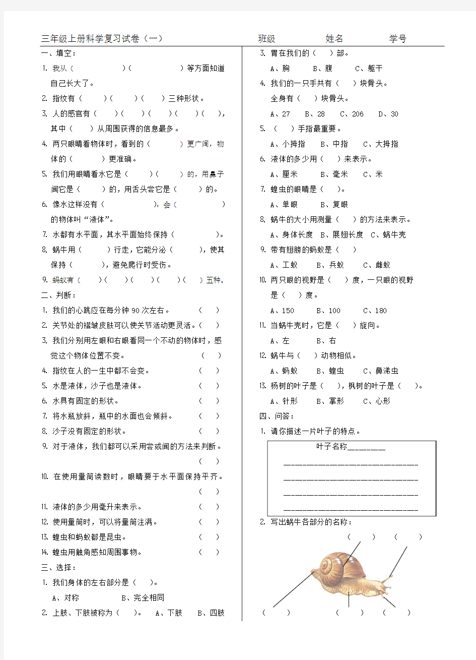 人教版小学三年级科学试卷