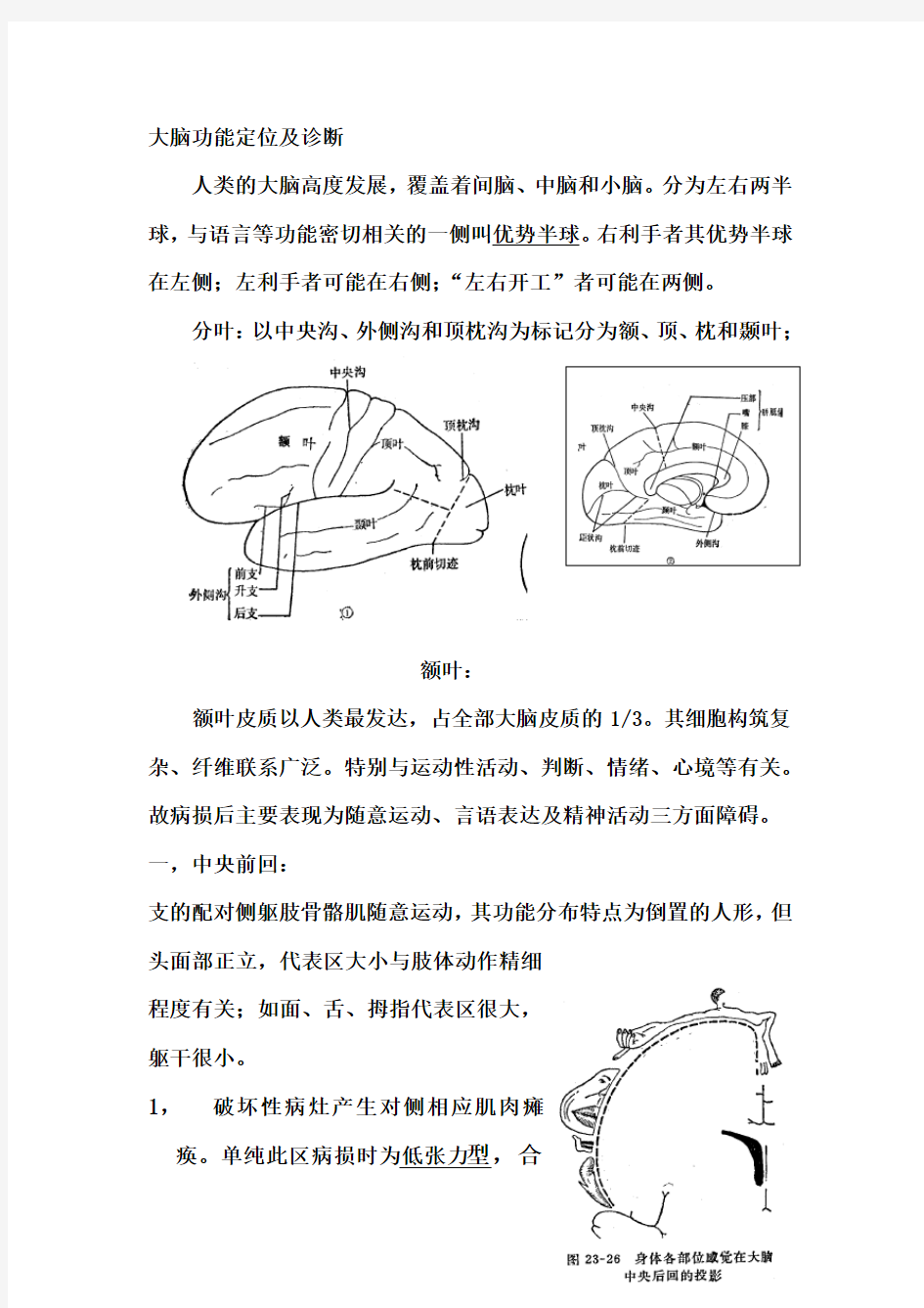 大脑功能定位诊断