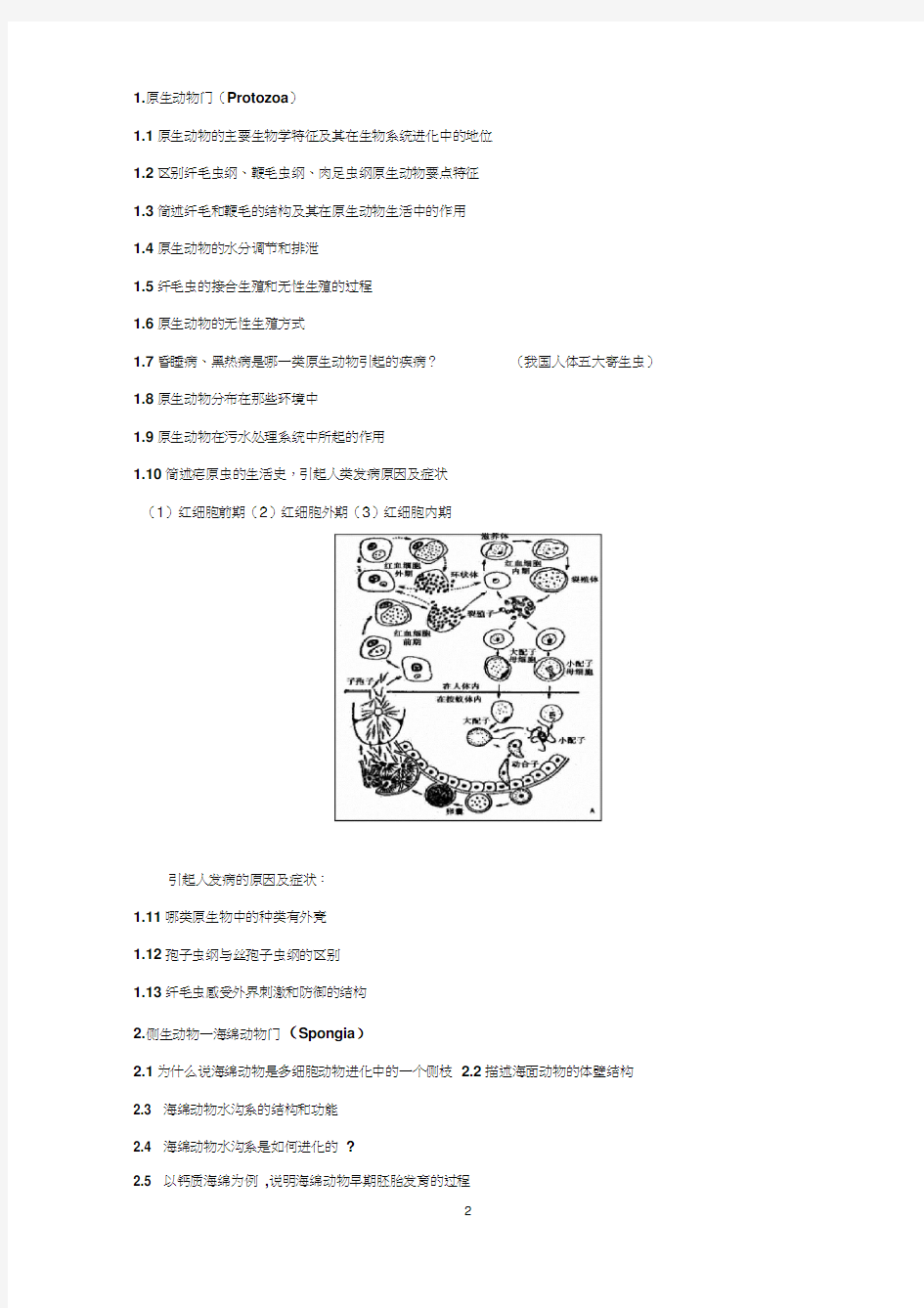 动物学思考题级答案word精品