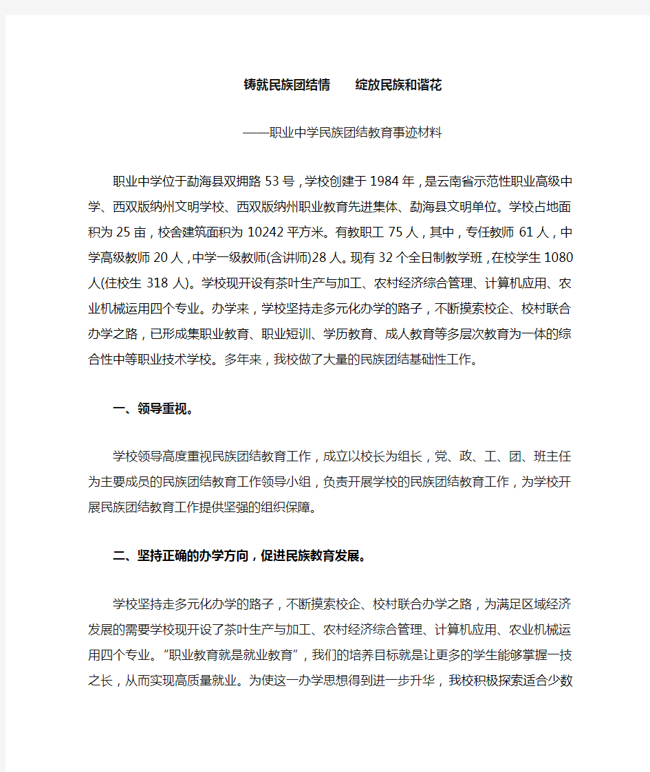 云南省民族团结教育示范学校材料