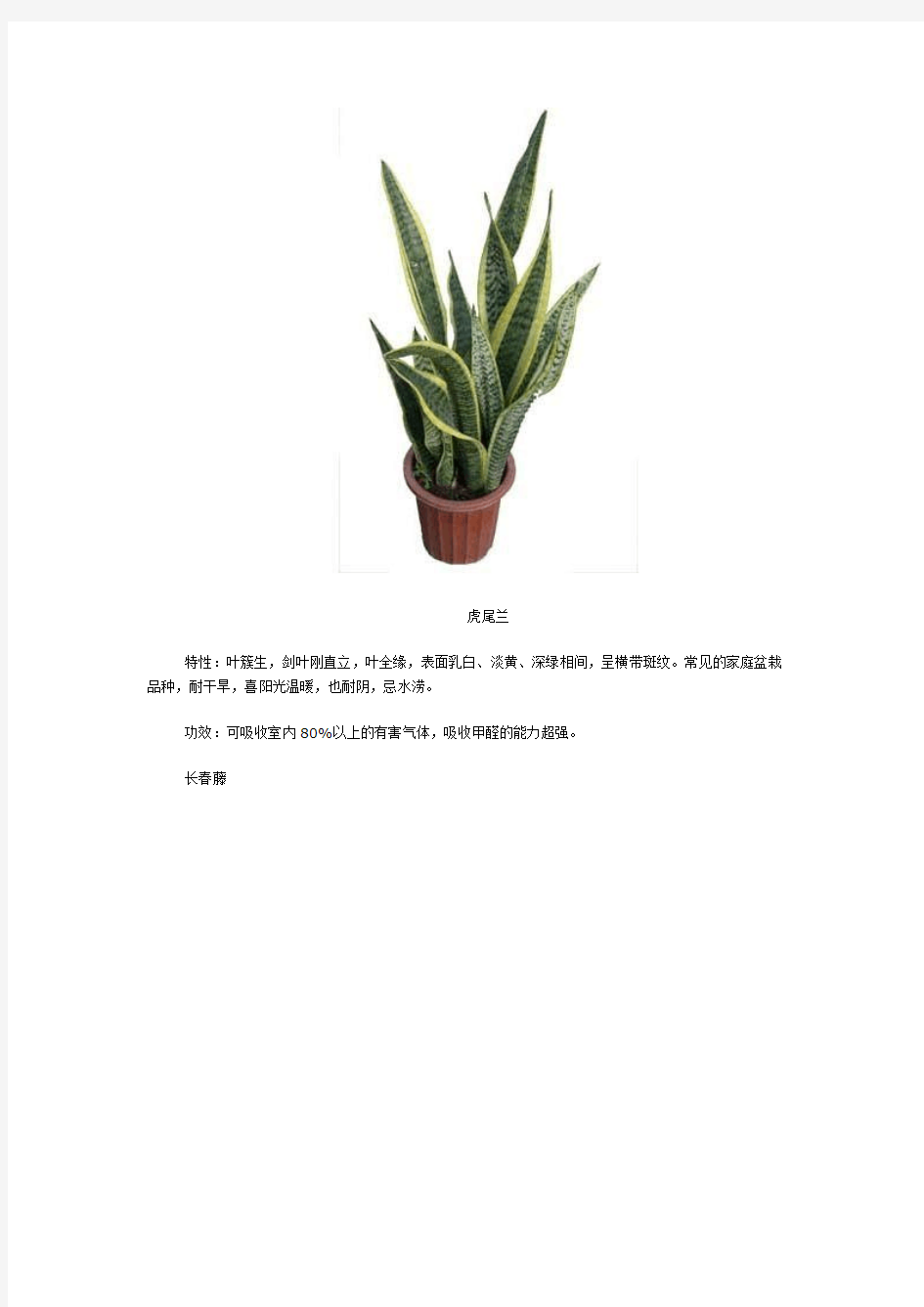 去除室内装修甲醛的十大植物