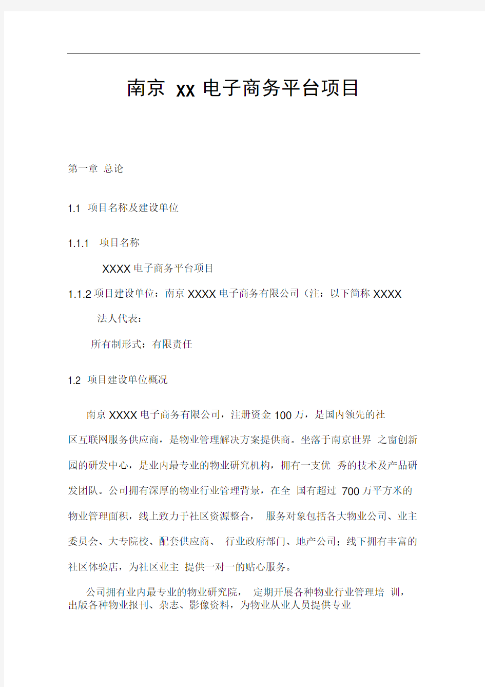 南京XX电子商务平台项目可行性研究报告