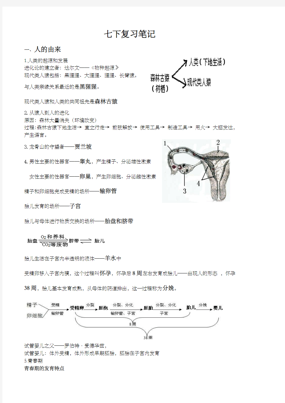 七年级下册生物期末复习笔记