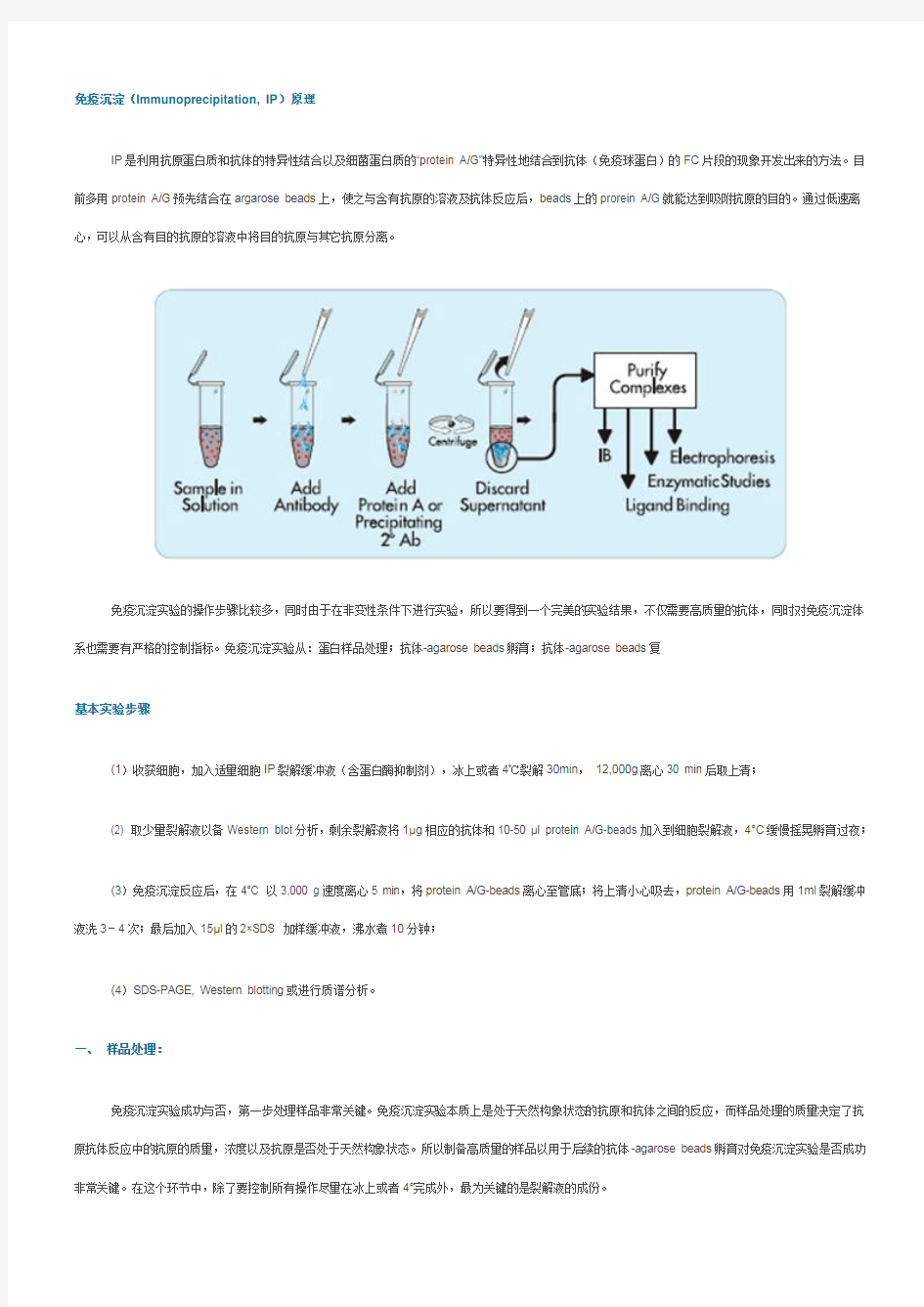 免疫沉淀(Immunoprecipitation, IP)原理