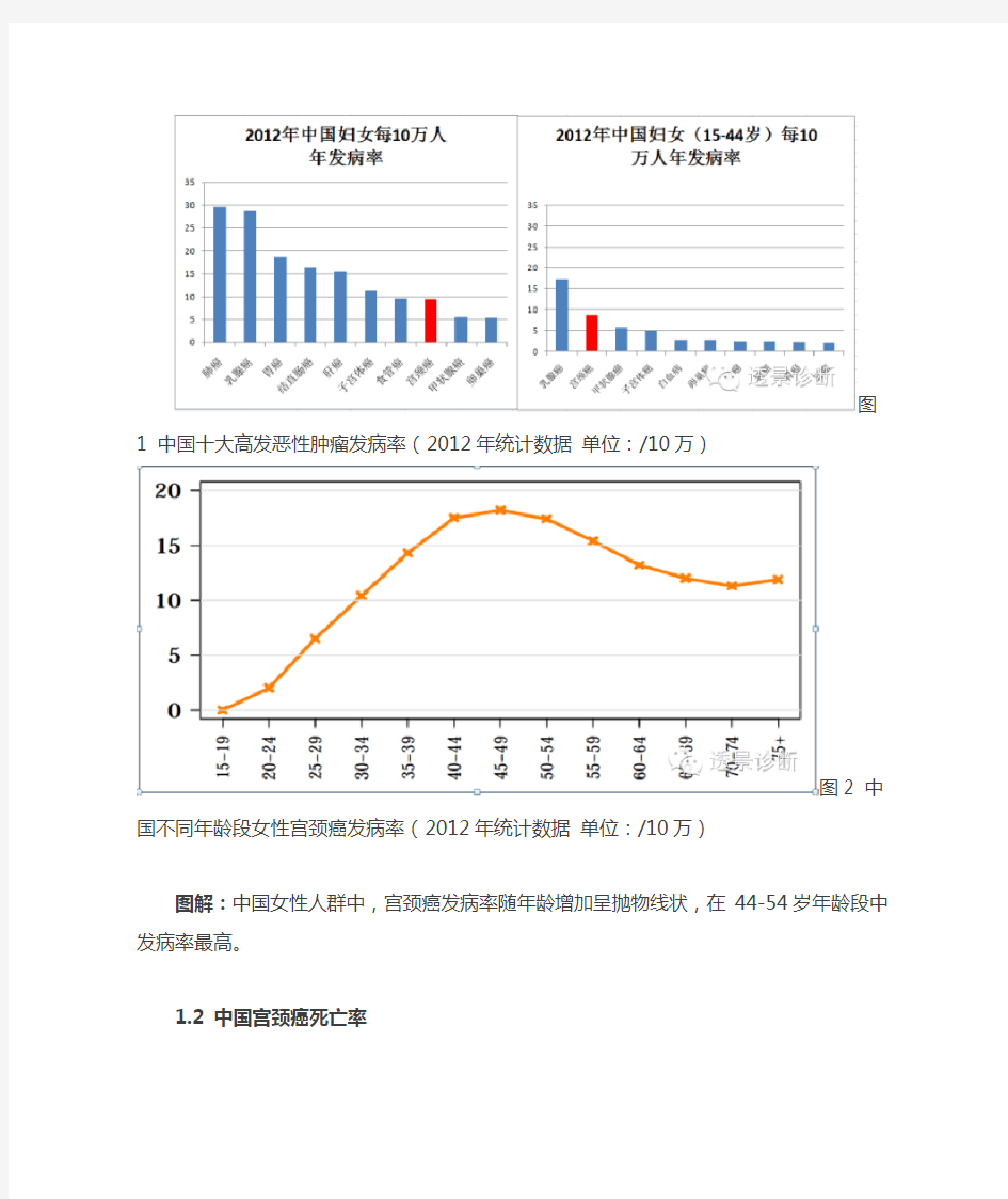 中国HPV与宫颈癌