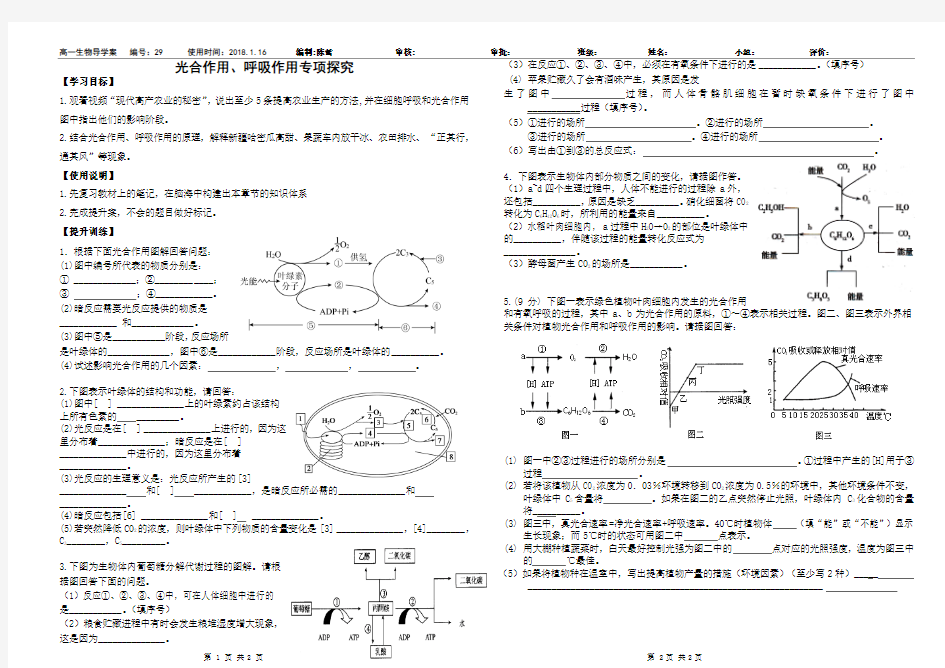 高中高一生物必修一光合作用、呼吸作用综合测试题练习题