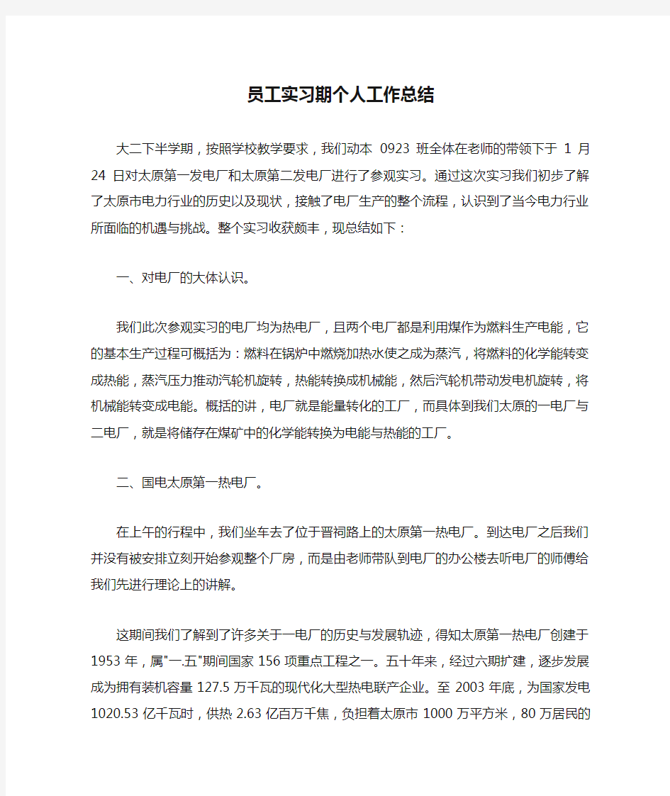 员工实习期个人工作总结