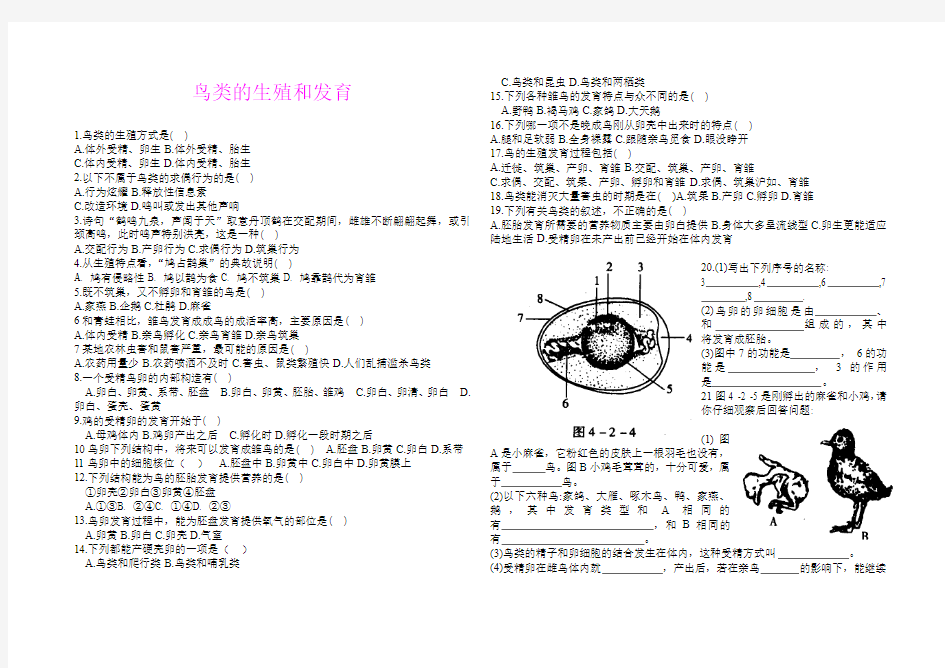 鸟类的生殖和发育同步练习(无答案)