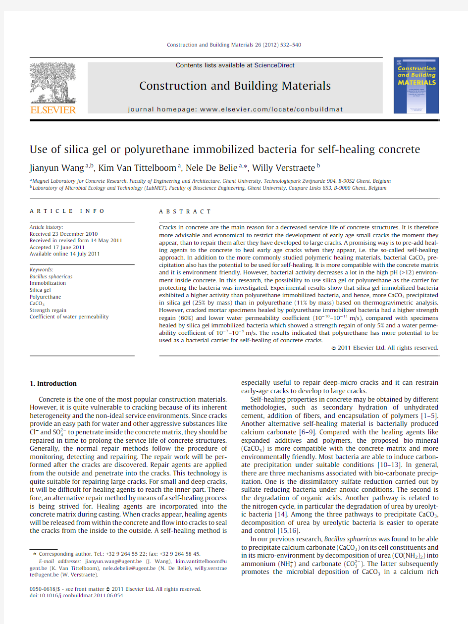 Use of silica gel or polyurethane immobilized bacteria for self-healing concrete