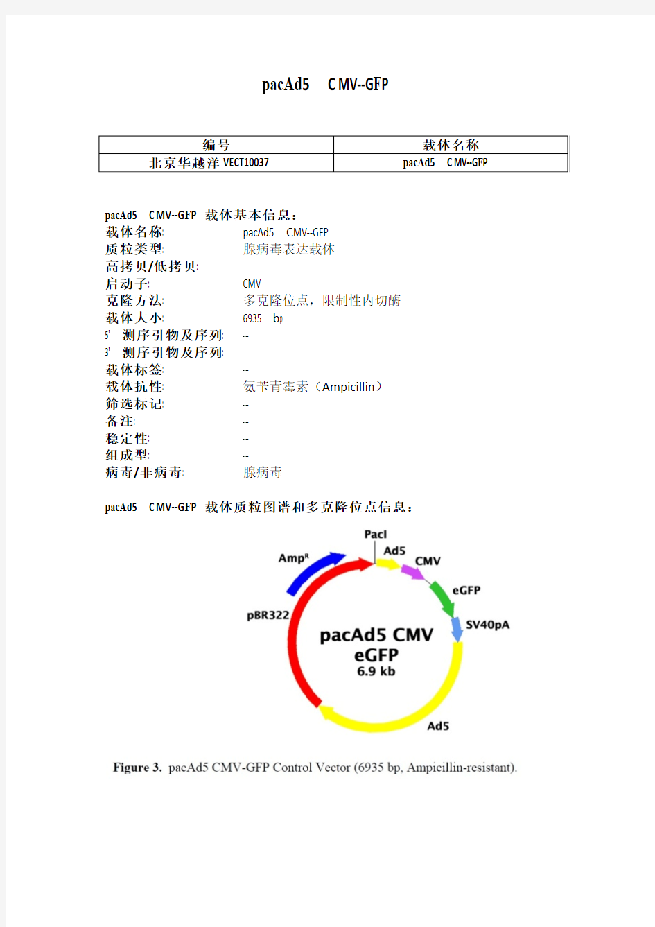 pacAd5 CMV-GFP腺病毒载体说明(图)