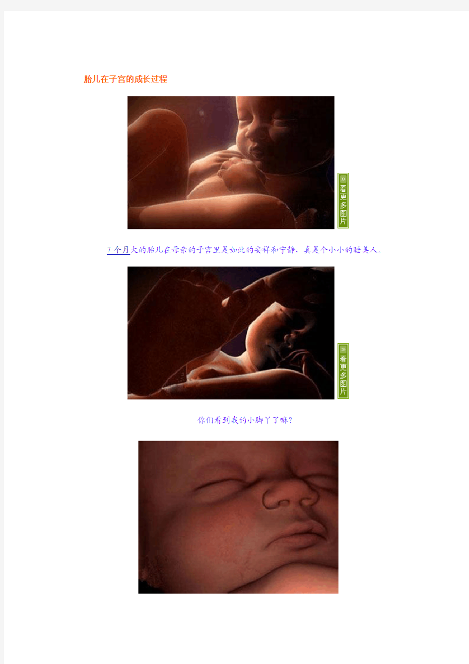 胎儿在子宫的成长过程(图)