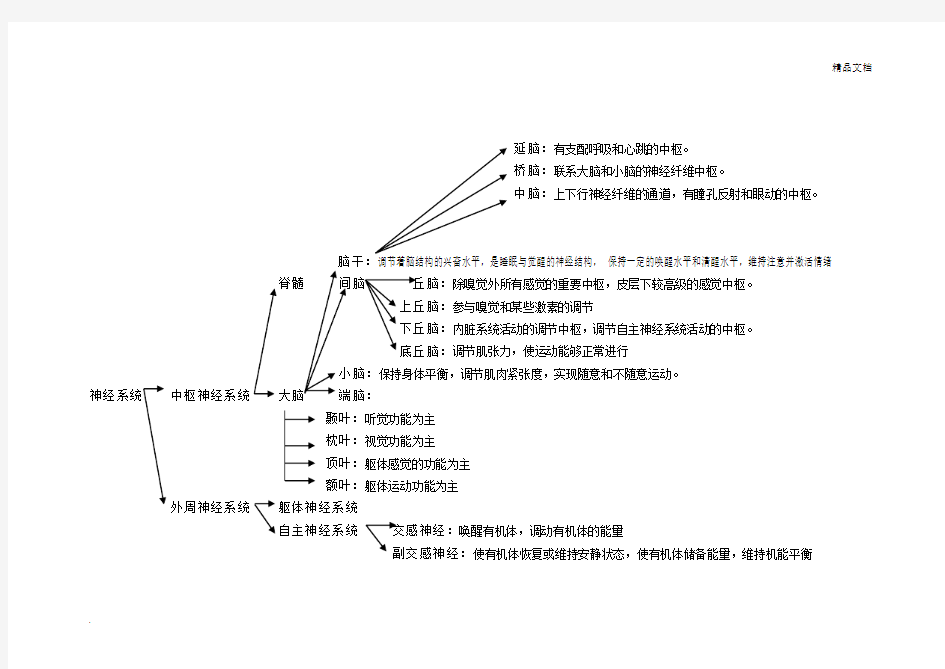 神经系统知识点图表