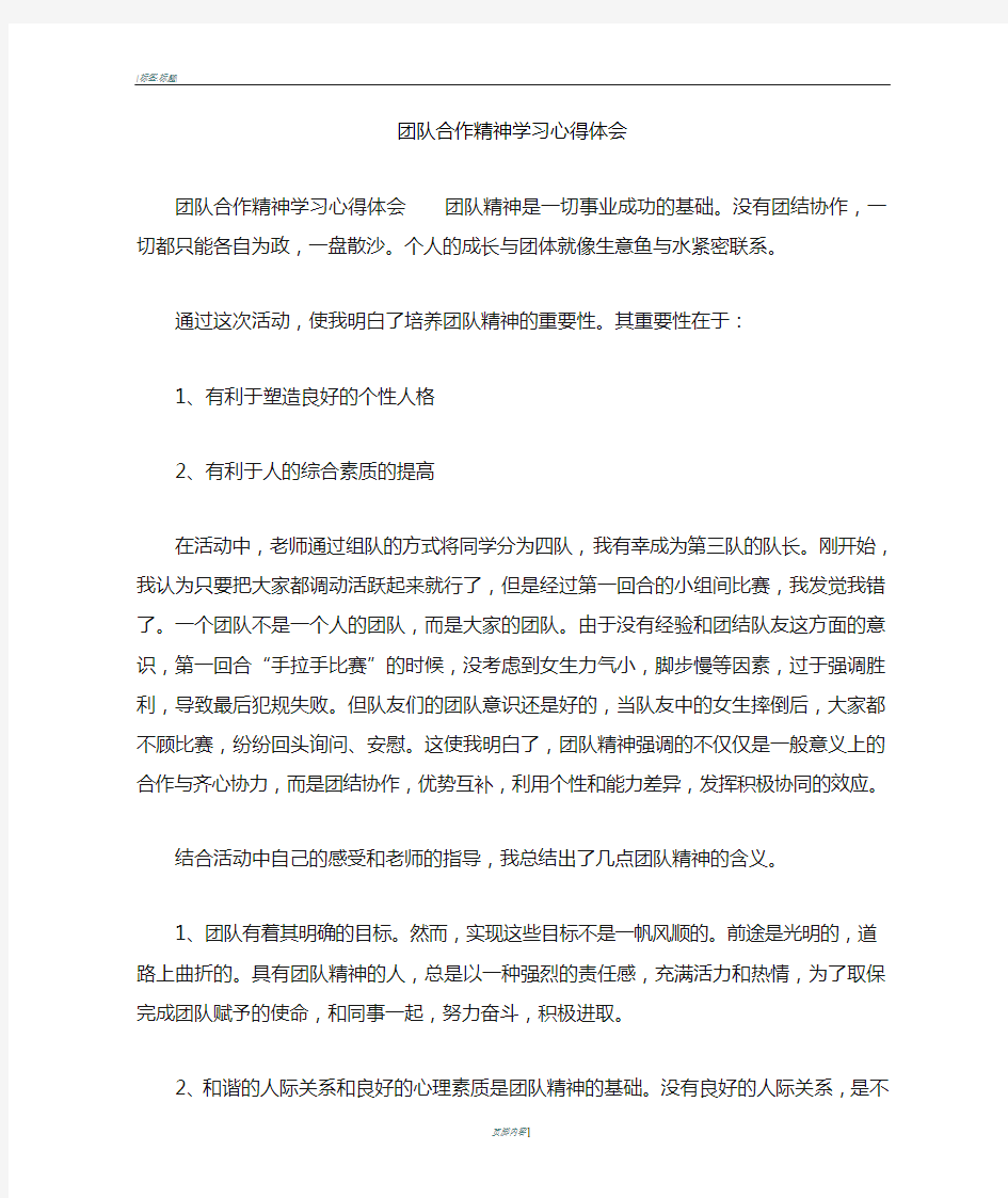 团队合作精神学习心得体会