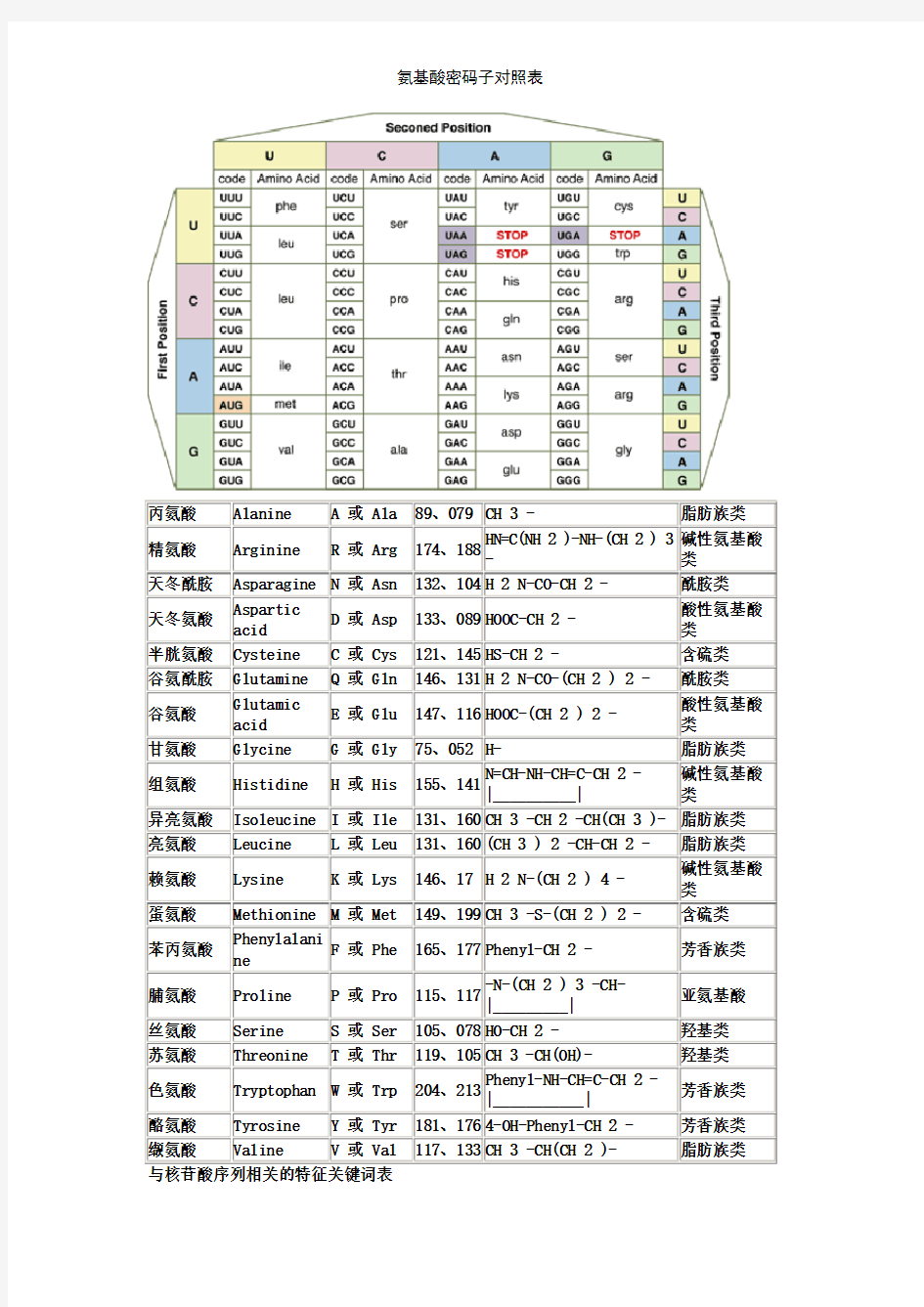 氨基酸密码子对照表