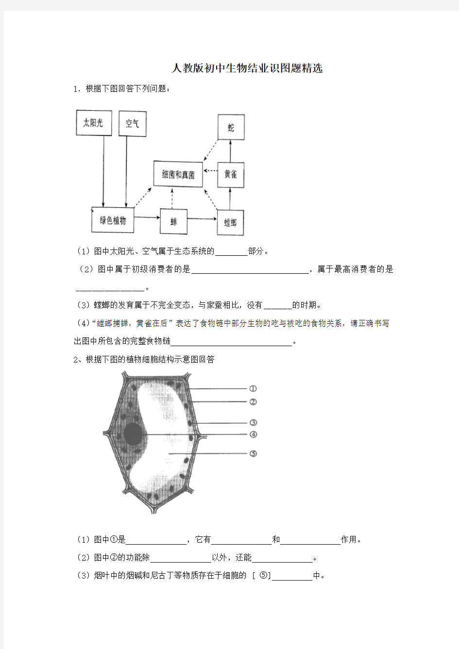 (完整word版)人教版初中生物识图专题(整理版)汇总