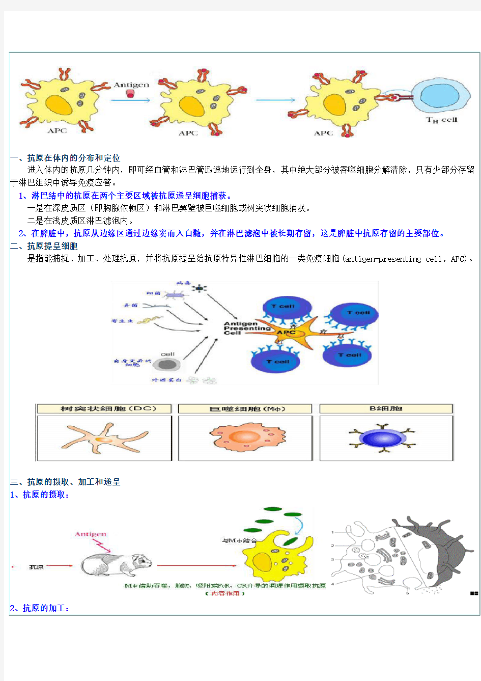 特异性免疫应答的基本过程及其调节机制