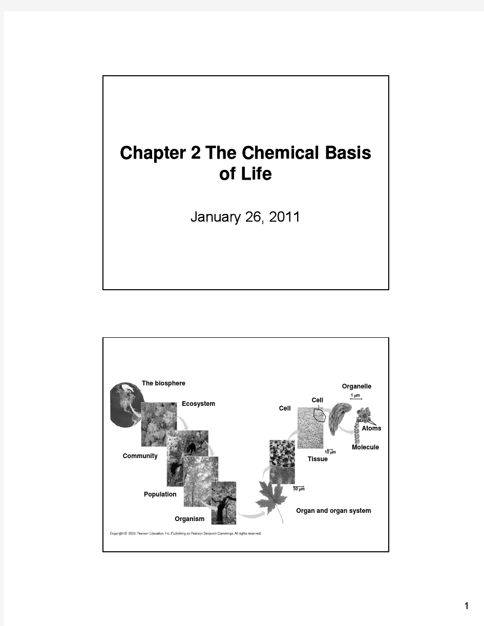 Lecture 2-The Chemical Basis of Life