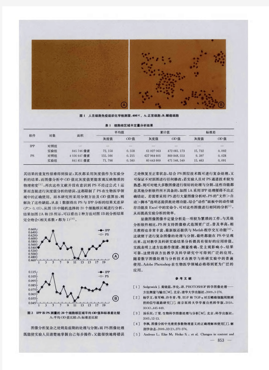 一种新的显微图像半定量分析方法