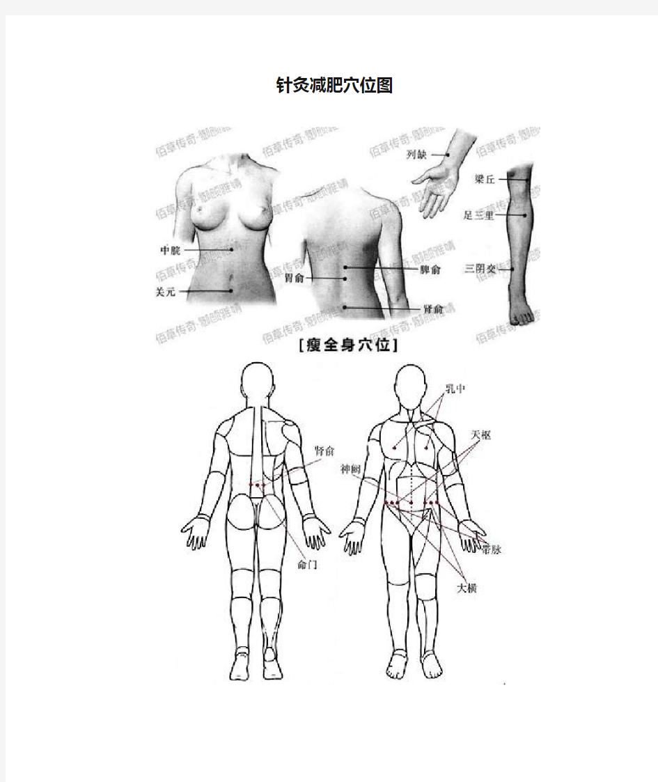 针灸减肥穴位图