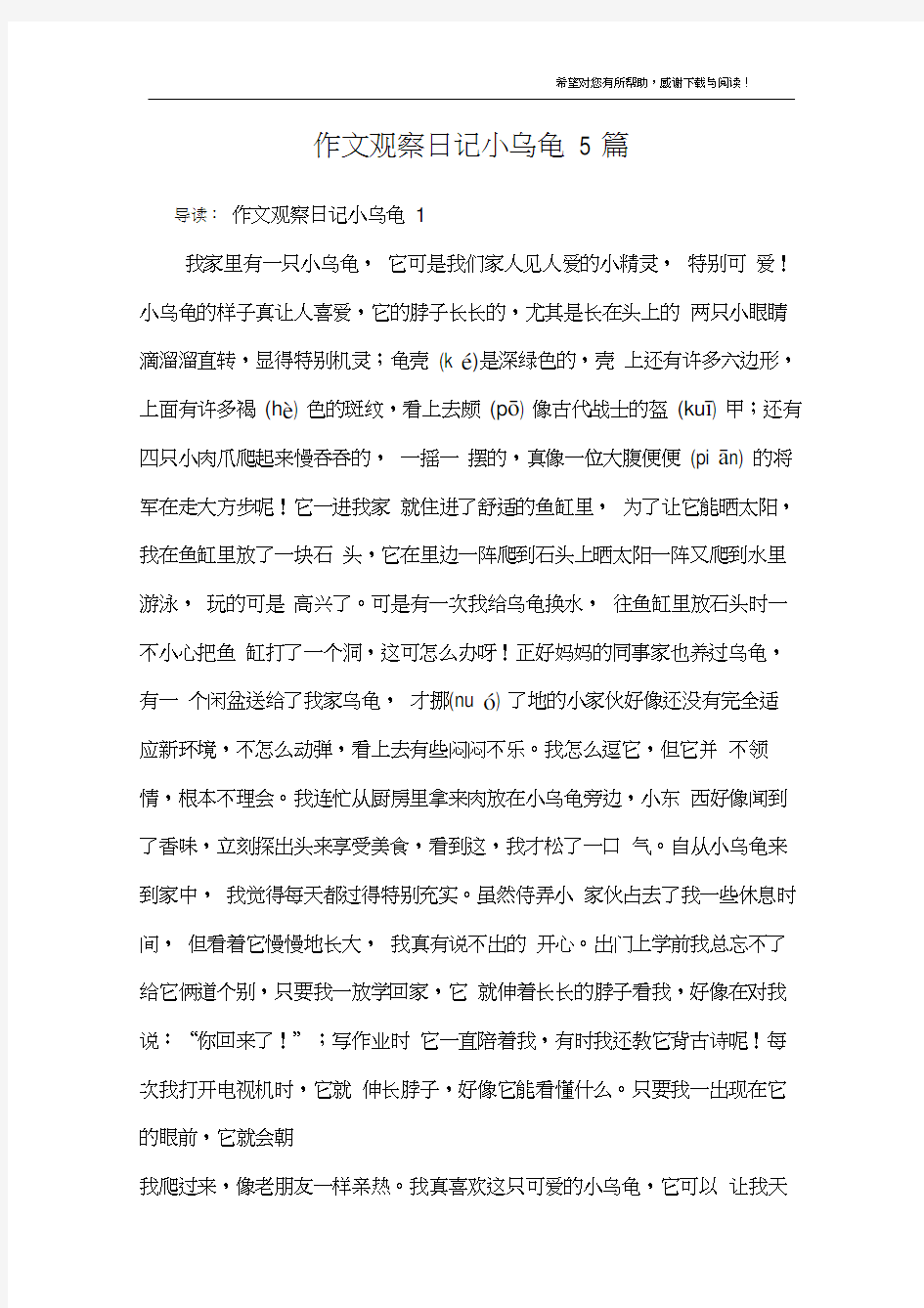 作文观察日记小乌龟5篇