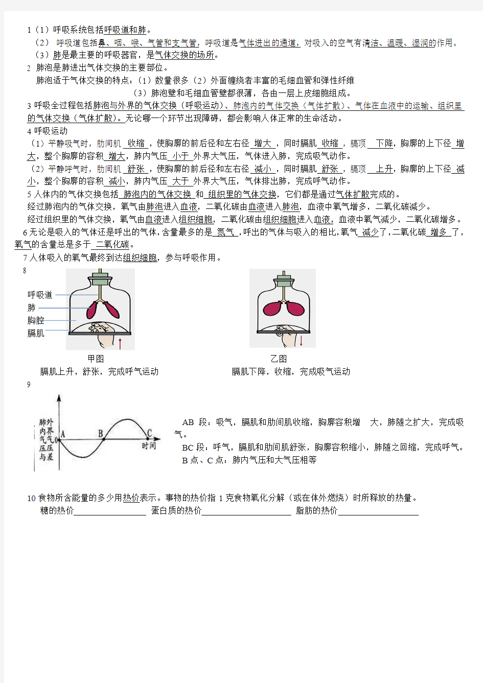 人体与外界的气体交换 (重要知识点)