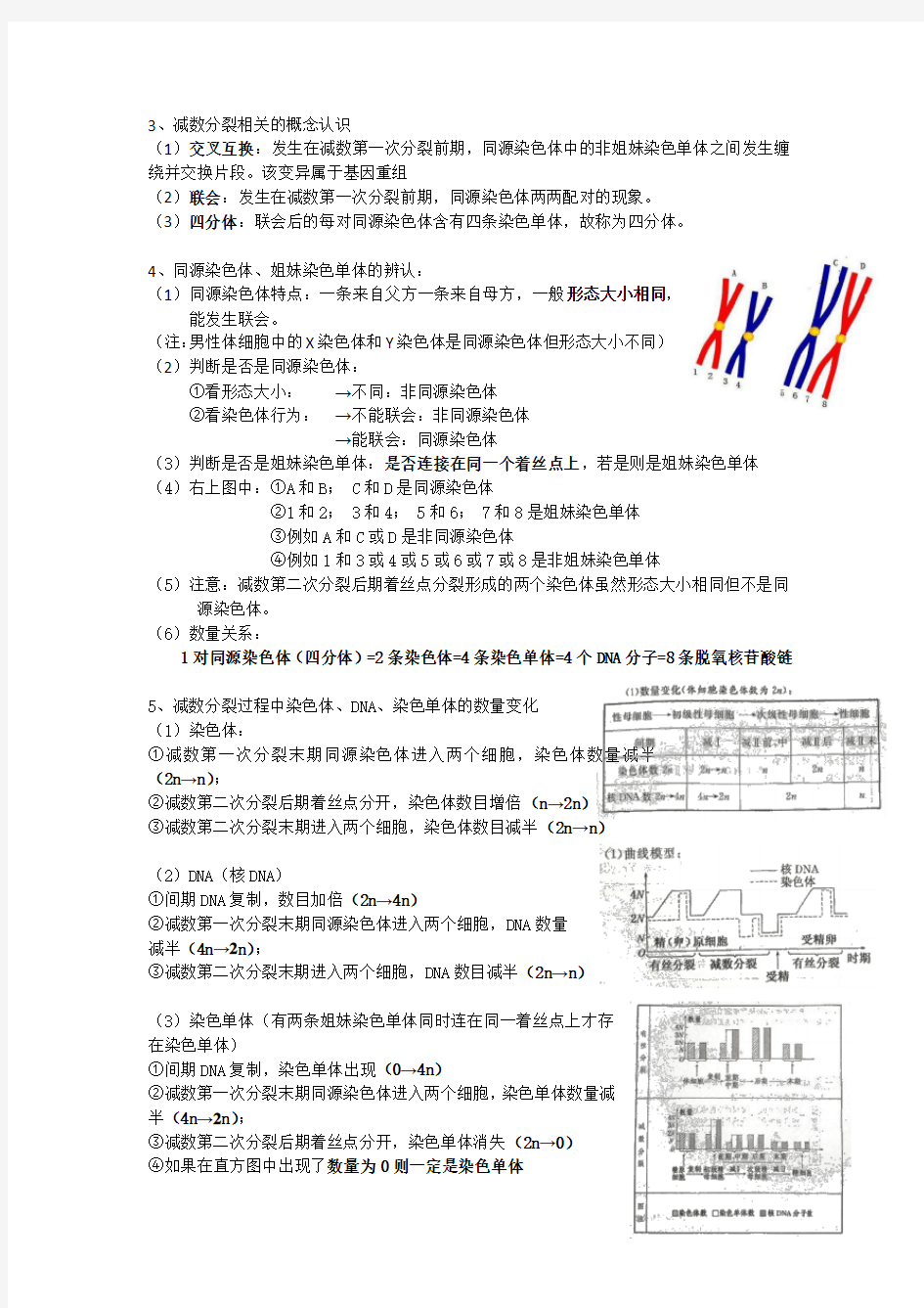 高中生物必修二 第二章 基因和染色体的关系