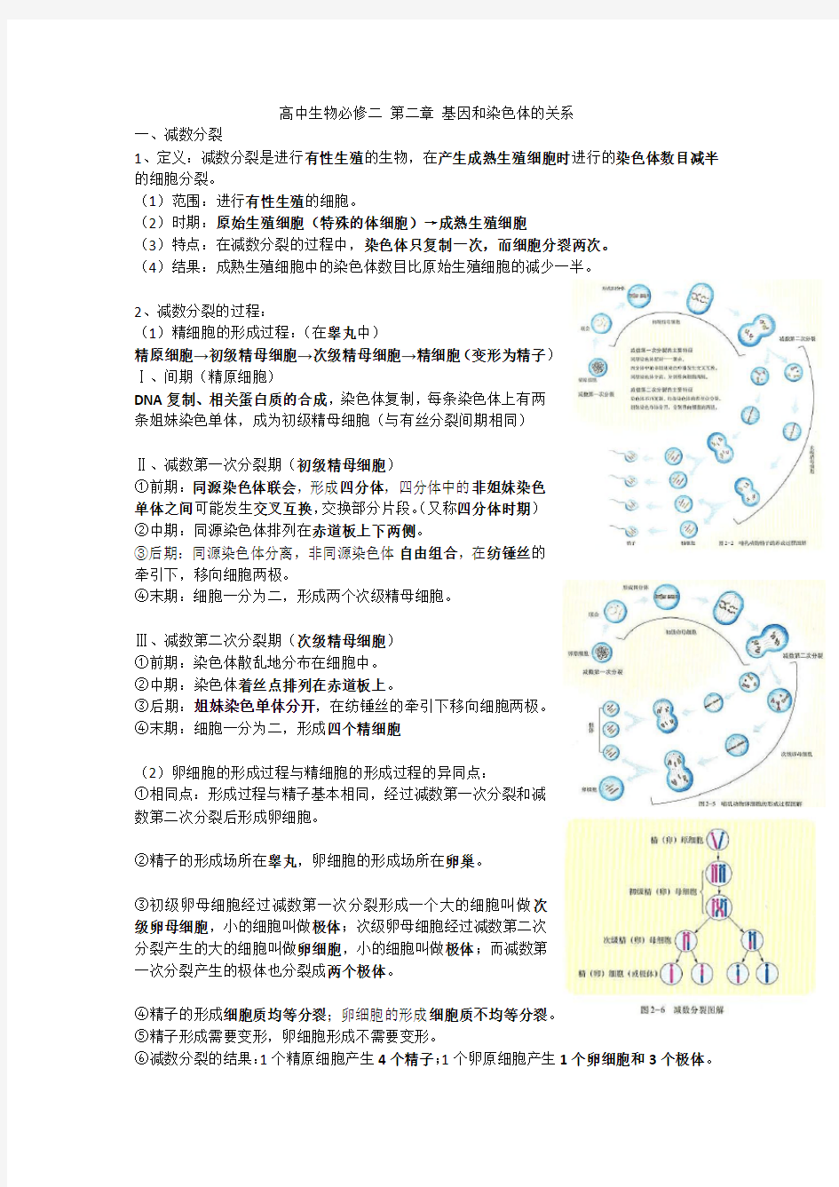 高中生物必修二 第二章 基因和染色体的关系