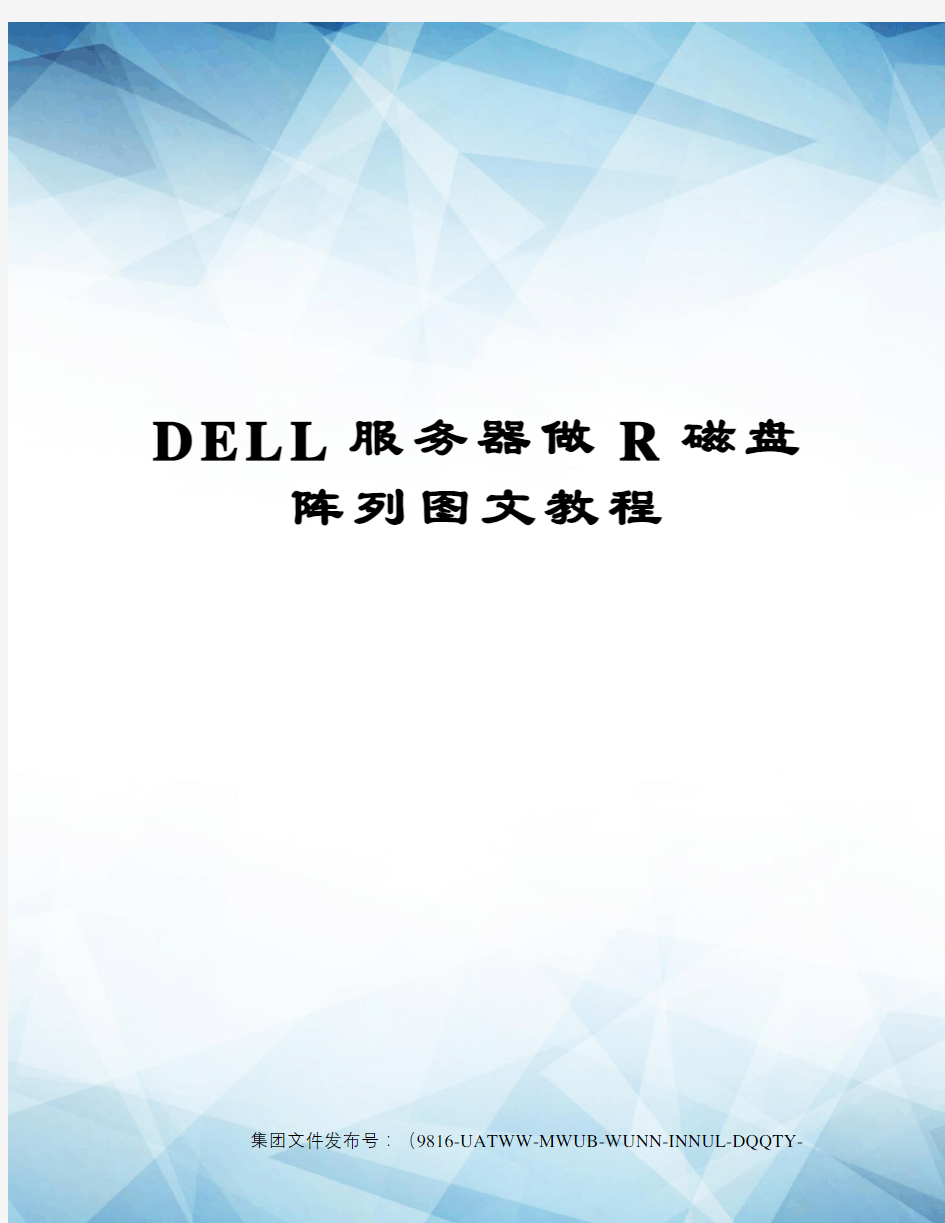 DELL服务器做R磁盘阵列图文教程