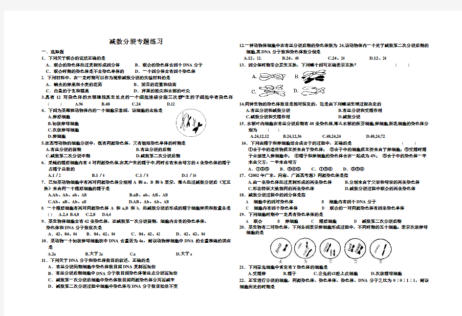 减数分裂专题练习